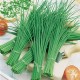 CAILLARD CIBOULETTE [D]