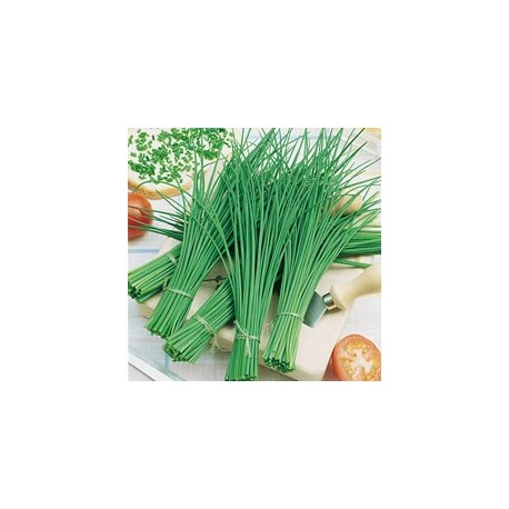 CAILLARD CIBOULETTE [D]