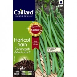 CAILLARD HARICOT NAIN SERENGETI [8]