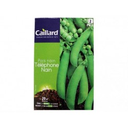 CAILLARD POIS NAIN TELEPHONE NAIN [2]