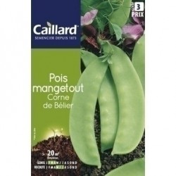 CAILLARD POIS MANGETOUT CORNE DE BELIER [3]