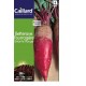 CAILLARD BETTERAVE FOURRAGERE GEANTE ROUGE [4]