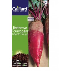 CAILLARD BETTERAVE FOURRAGERE GEANTE ROUGE [4]