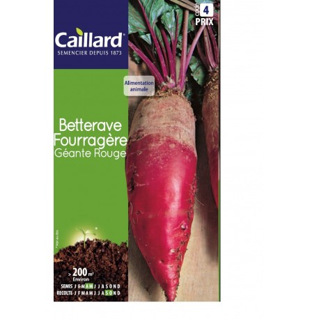CAILLARD BETTERAVE FOURRAGERE GEANTE ROUGE [4]