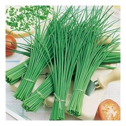 CAILLARD BIO CIBOULETTE [D]
