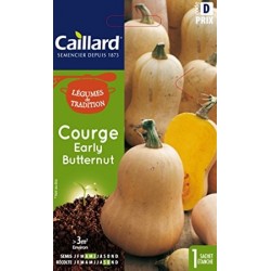 CAILLARD COURGE EARLY BUTTERNUT [D]