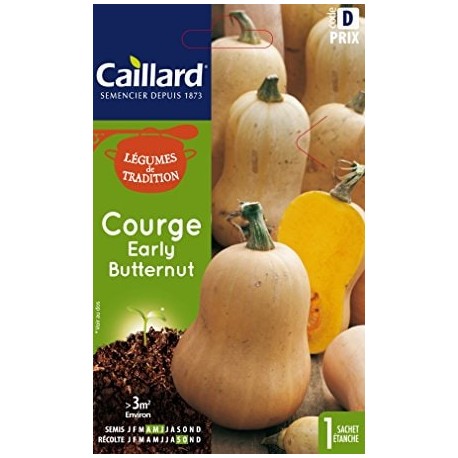 CAILLARD COURGE EARLY BUTTERNUT [D]