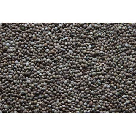 TRUITE ALIMENT 1P OPTILINE 1MM 25KG