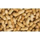ARACHIDES 10KG
