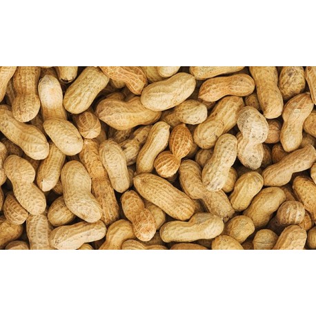 ARACHIDES 10KG