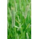 FLEOLE DES PRES BIO RAGNAR 25KG