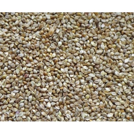 MILLET JAPONAIS 15KG
