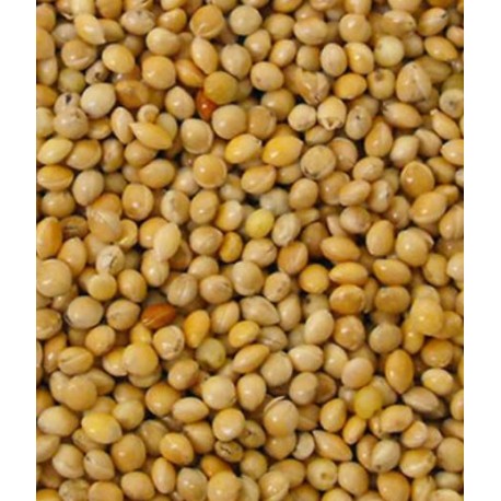 MILLET ROND JAUNE 25KG