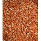 MILLET ROND ROUGE 25KG