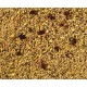 PATEE AUX OEUFS GDE PERRUCHE / PERROQUET 800GR