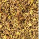 PATEE AUX OEUFS PERRUCHES 10KG