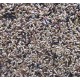 CANARIS 4KG