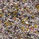 CANARIS 800GR