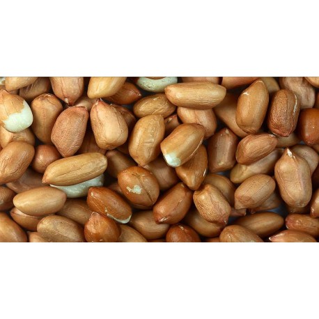 ARACHIDES DECORTIQUES 25KG