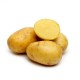 CLAYETTE AGRIA 100 PLANTS