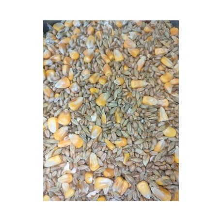 MELANGE GRAINS 25KG